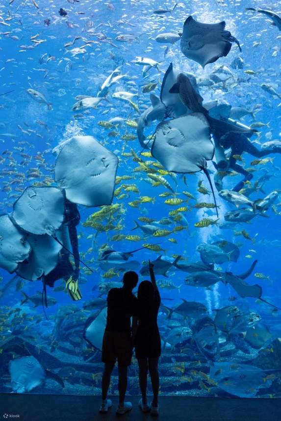 【獨家特惠】三亞亞特蘭蒂斯酒店住宿套餐